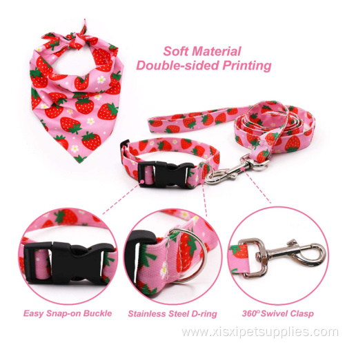 Custom Dog Collar And Leash Set Ajutable Pattern